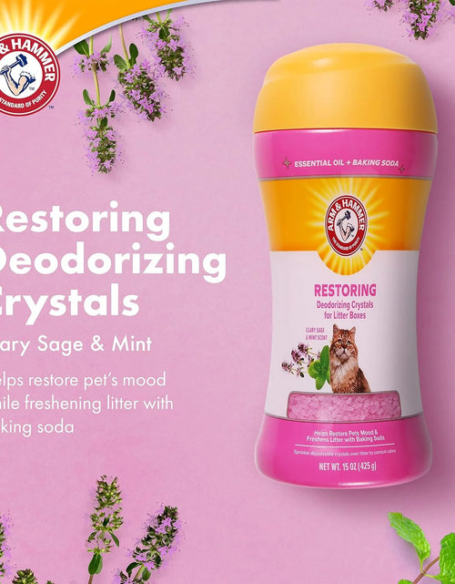 Load image into Gallery viewer, (2 Pack)  Deodorizing Cat Litter Crystals for Litter Boxes, Clary Sage &amp; Mint Scent 15 Oz.
